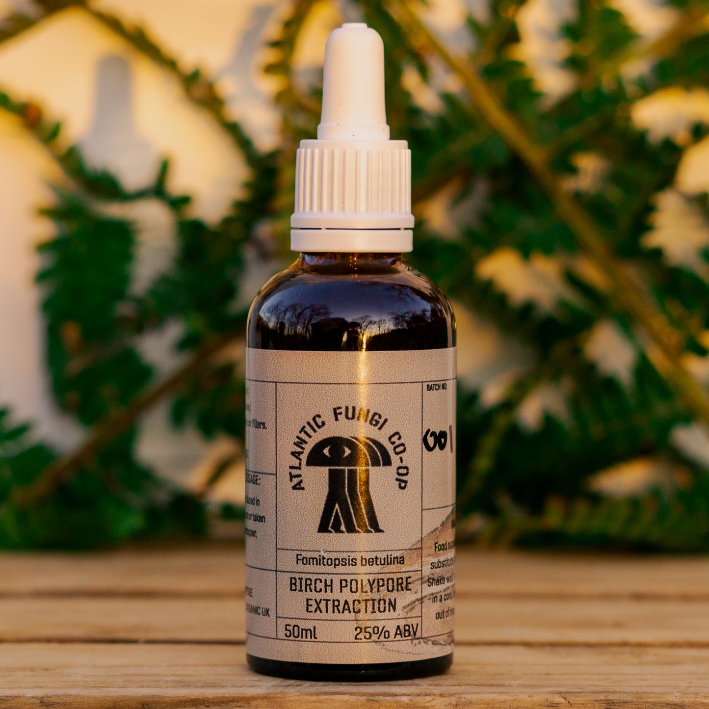 "Birch Polypore Triple Extract 50ml bottle - Traditional wellness mushroom supplement by Atlantic Fungi"