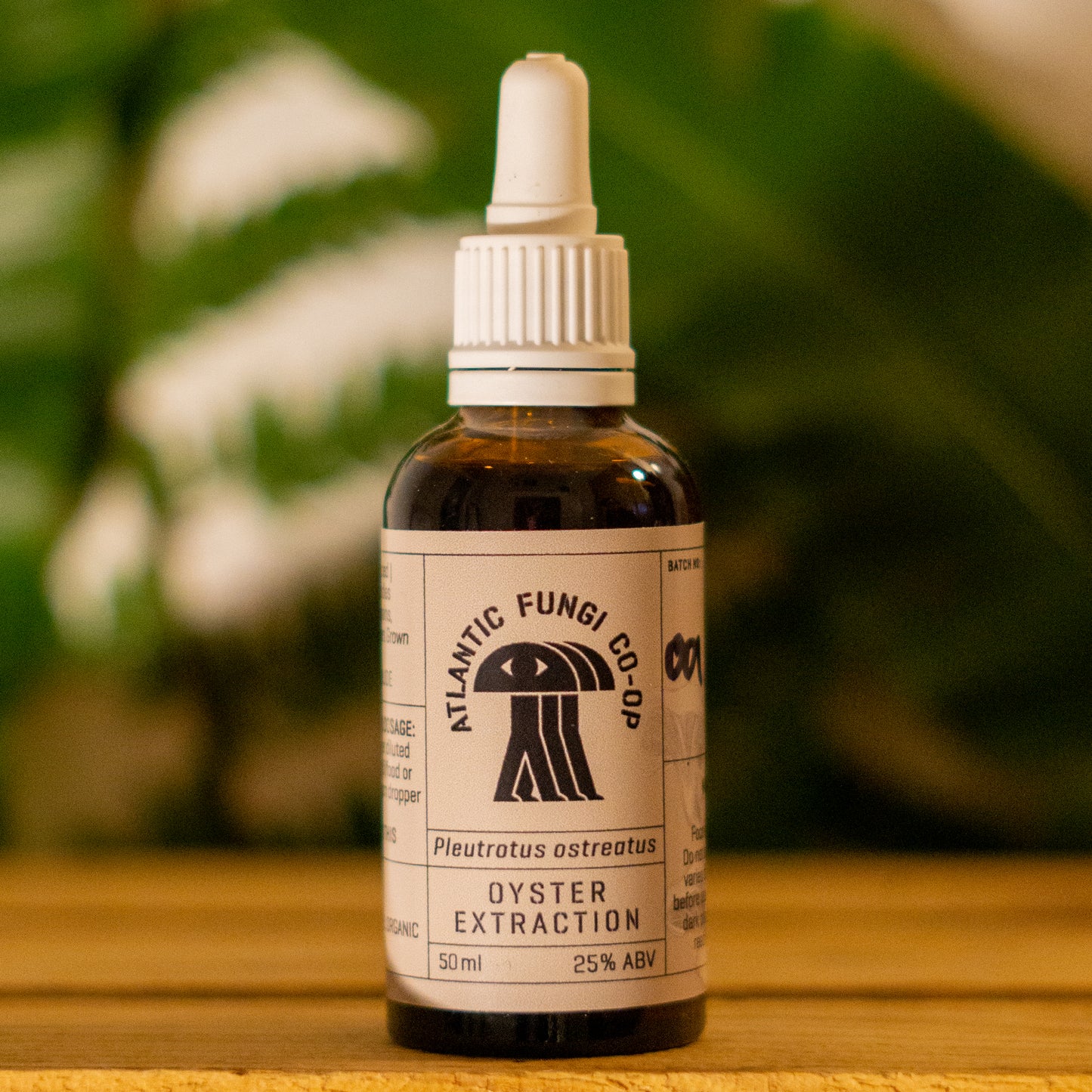 "Oyster Mushroom Triple Extract 50ml bottle - Heart health and antioxidant supplement"