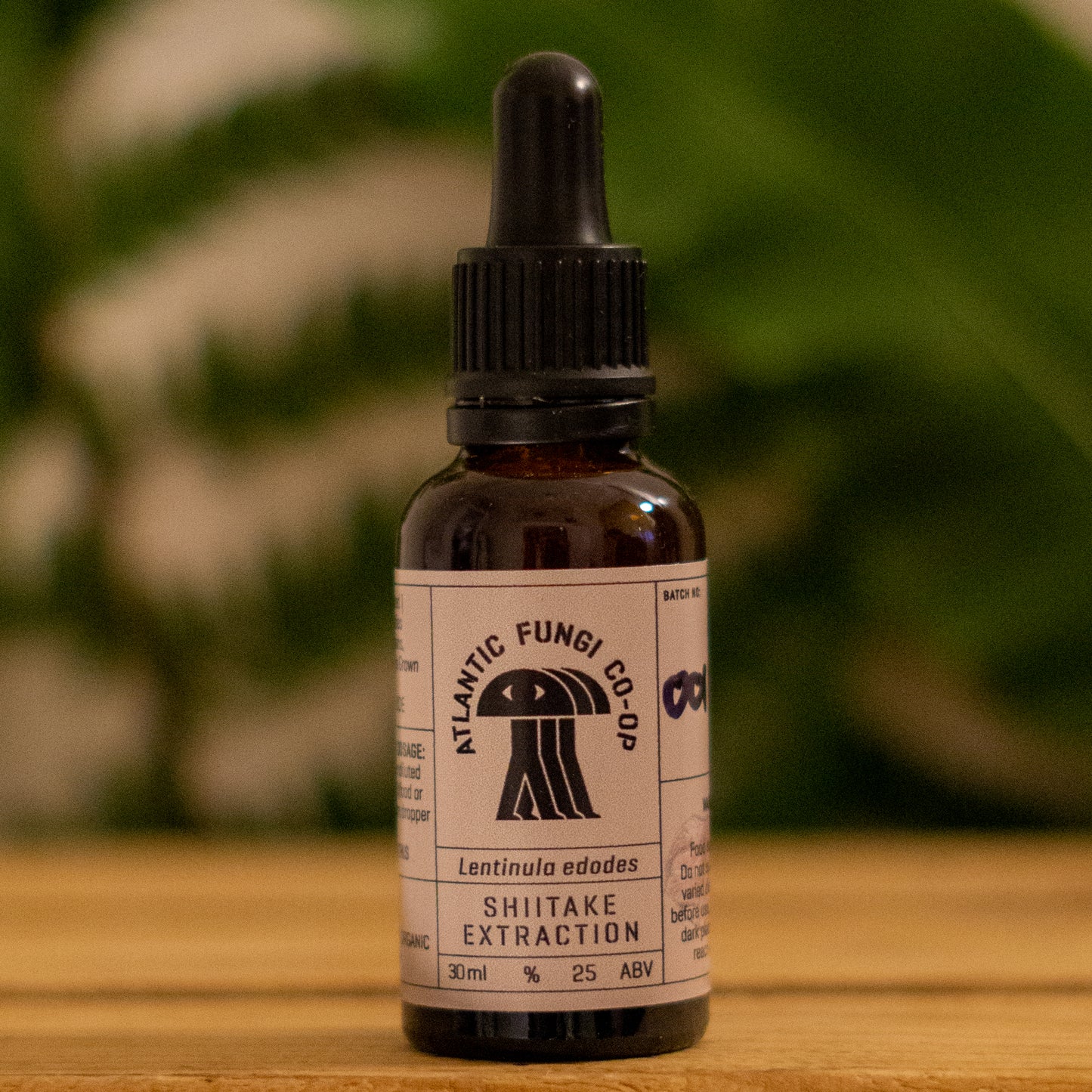 "Shiitake Triple Extract 30ml bottle - Natural health mushroom tincture"