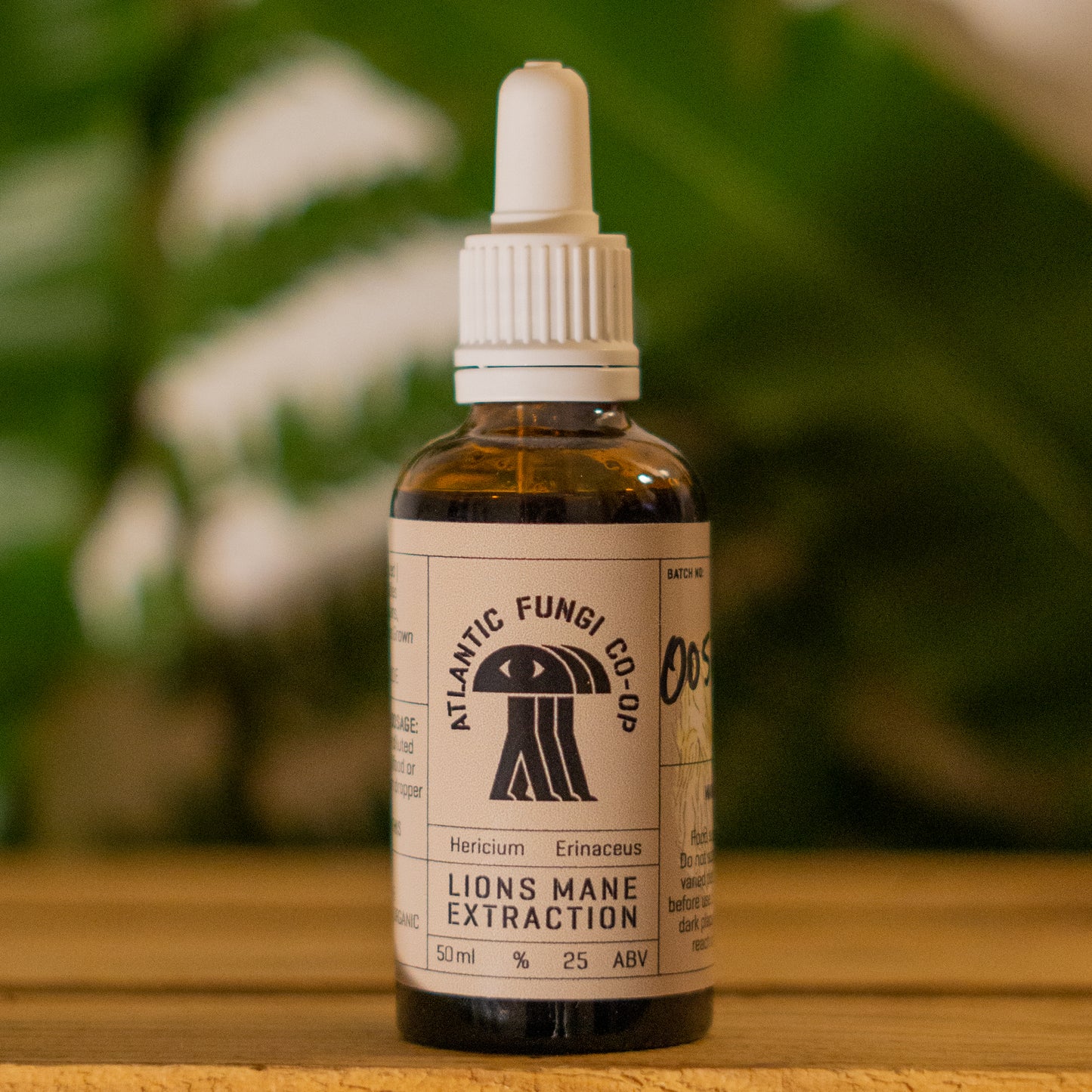 "Lion's Mane Triple Extract 50ml bottle - Cognitive support mushroom supplement"